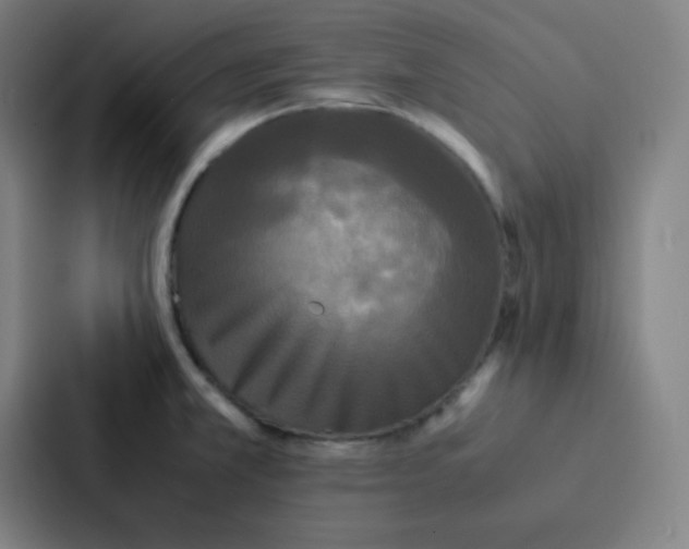 X0000086921381200705141714