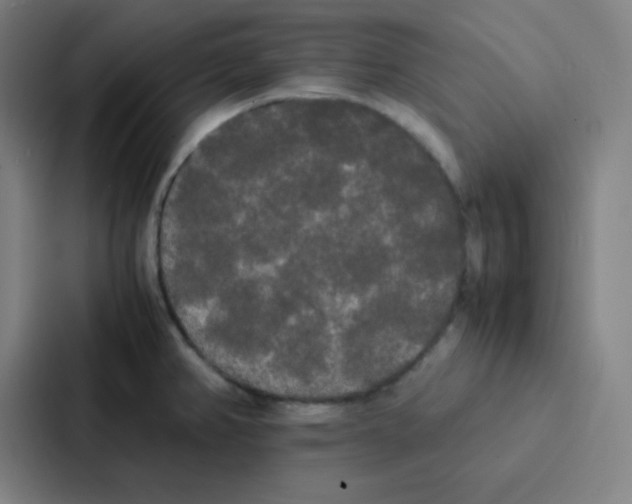 X0000086921382200705141714