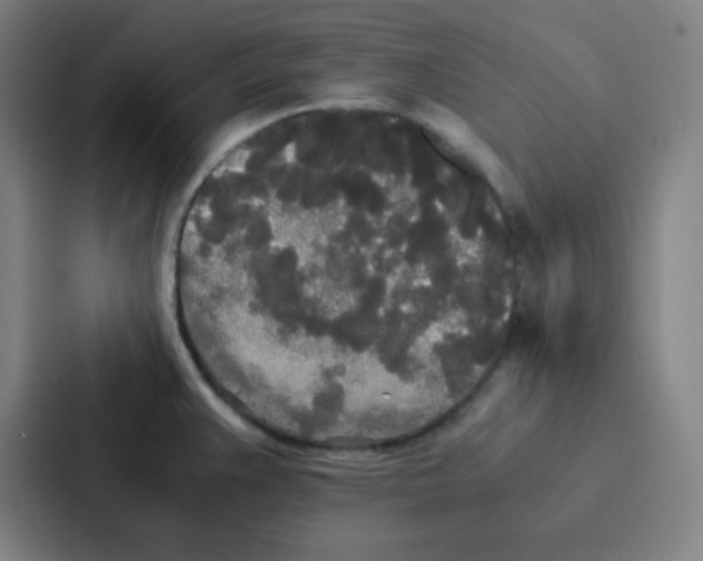 X0000086921383200705141714