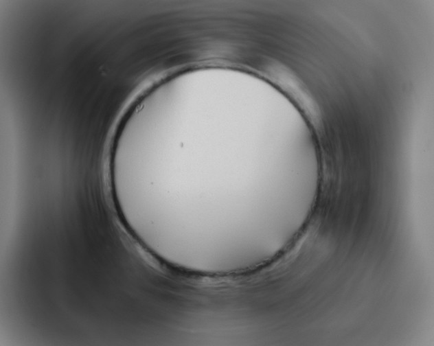 X0000086921384200705141714