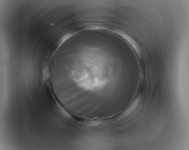 X0000086921385200705141714