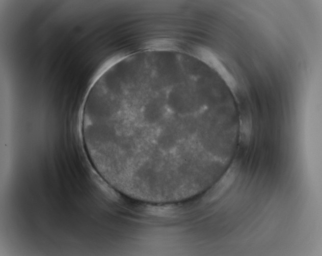 X0000086921386200705141714