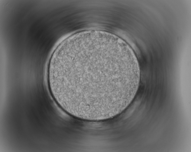 X0000086921387200705141714