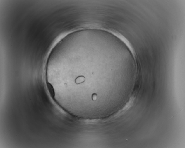 X0000086921389200705141713