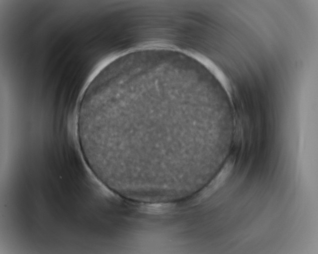 X0000086921390200705141713