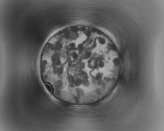 X0000086921391200705141713