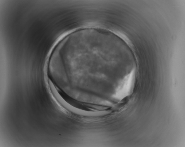 X0000086921392200705141713