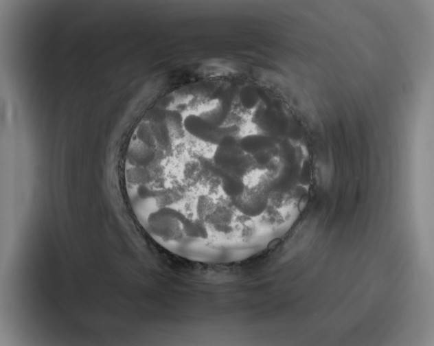 X0000086921393200705141713