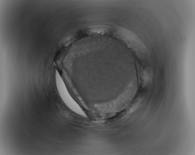 X0000086921394200705141713