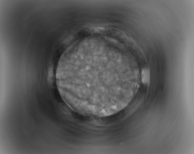 X0000086921395200705141713