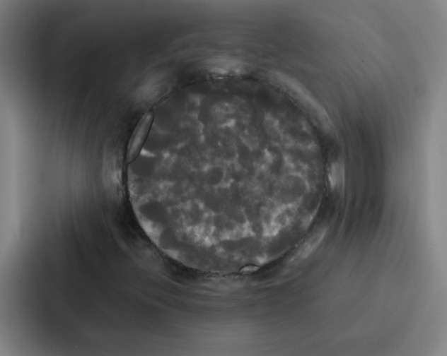 X0000086921396200705141713