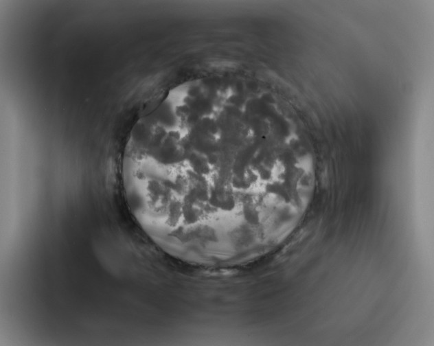 X0000086921397200705141713