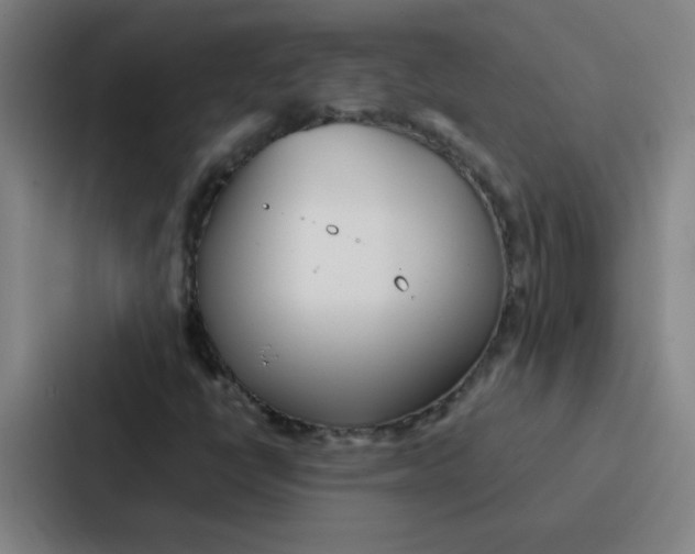 X0000086921398200705141713