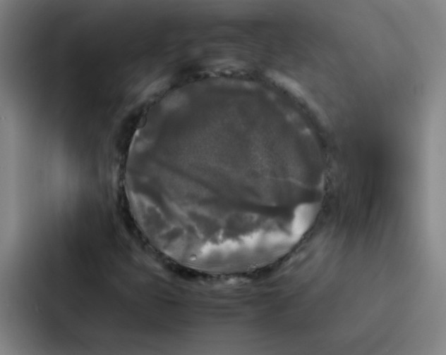 X0000086921399200705141713