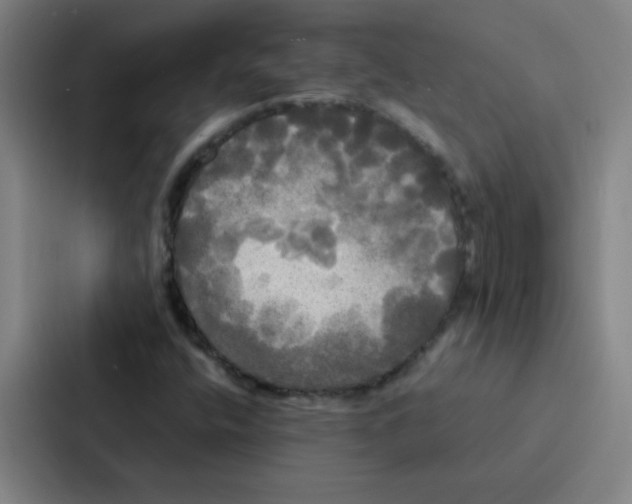 X0000086921400200705141713