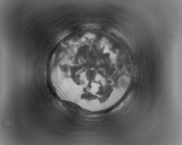 X0000086921401200705141713