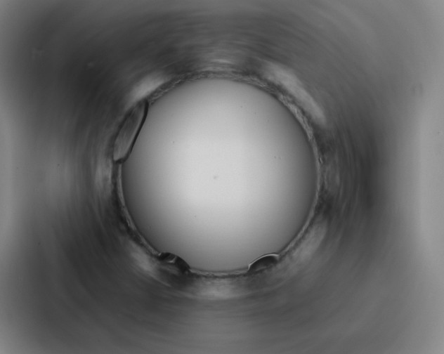 X0000086921402200705141713