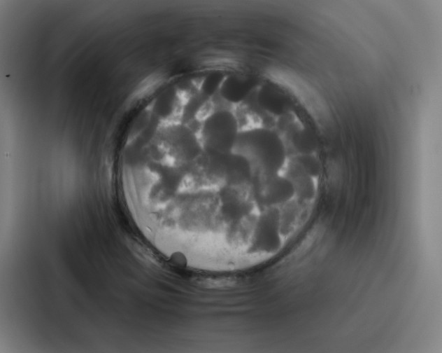 X0000086921403200705141713