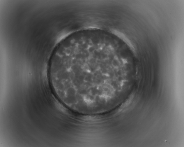 X0000086921404200705141713