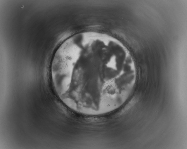 X0000086921405200705141713