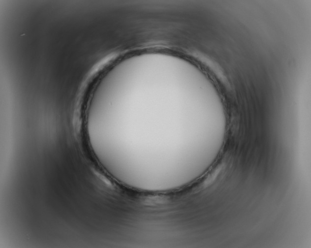 X0000086921406200705141713