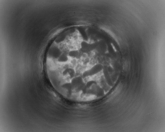 X0000086921407200705141713