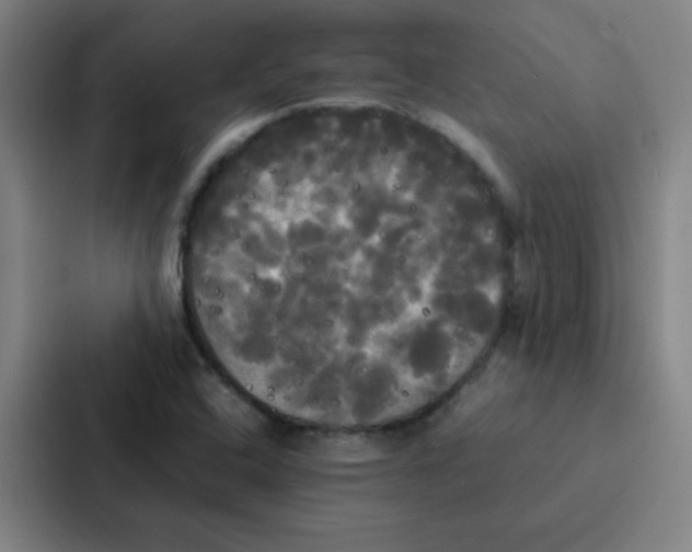 X0000086921408200705141713