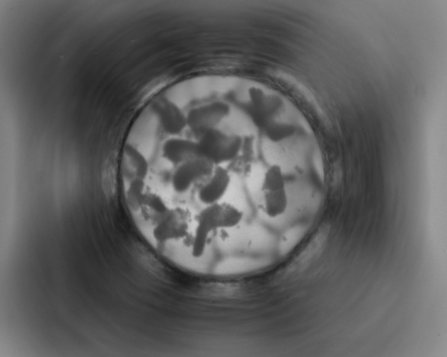 X0000086921409200705141713