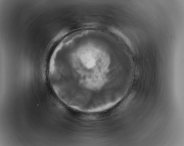 X0000086921411200705141713