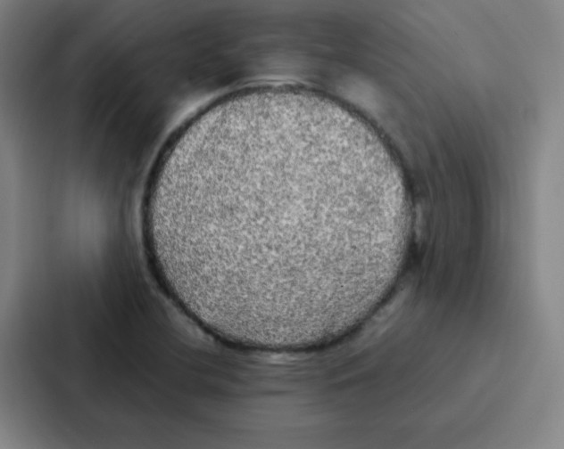 X0000086921412200705141713