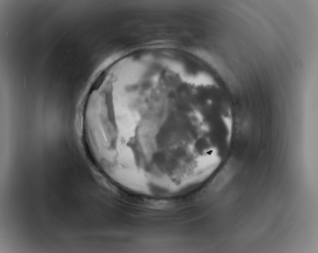 X0000086921413200705141713