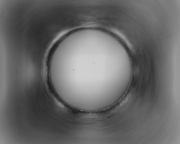 X0000086921414200705141713