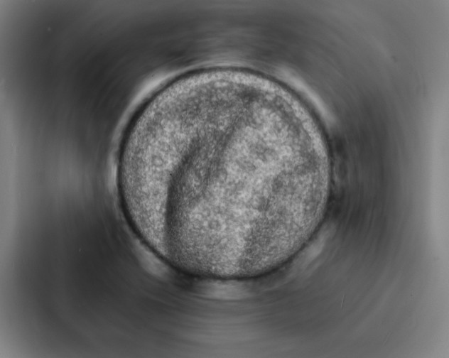 X0000086921416200705141713