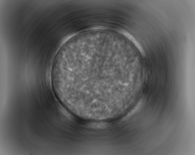 X0000086921417200705141713