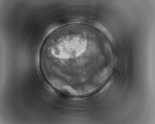 X0000086921419200705141713