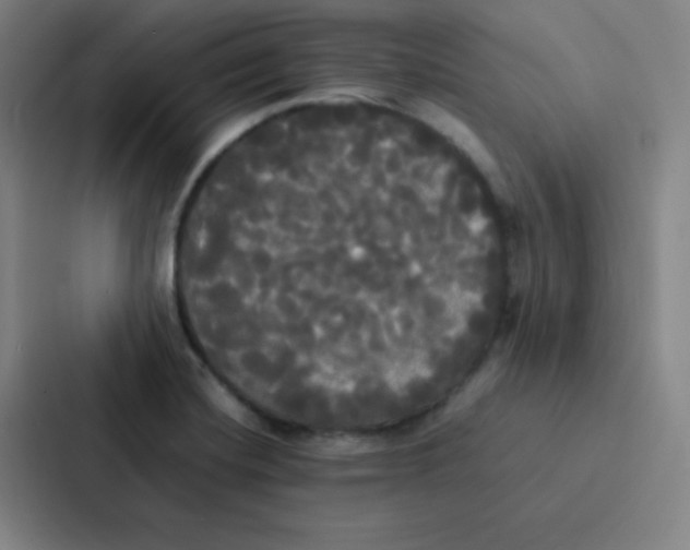 X0000086921420200705141713