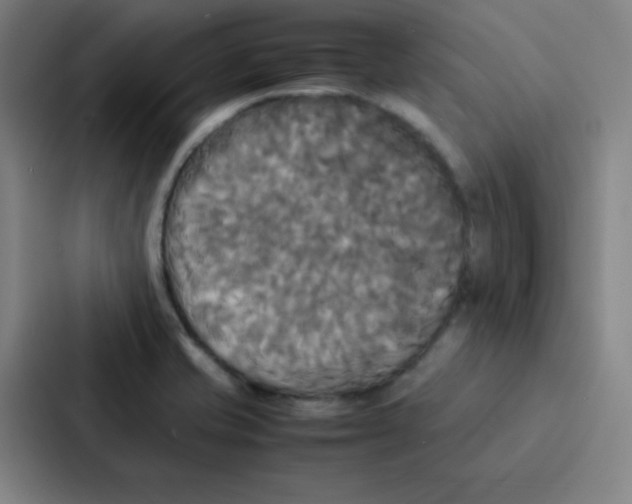 X0000086921421200705141713