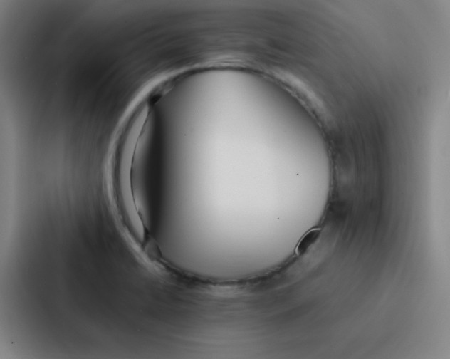 X0000086921422200705141713