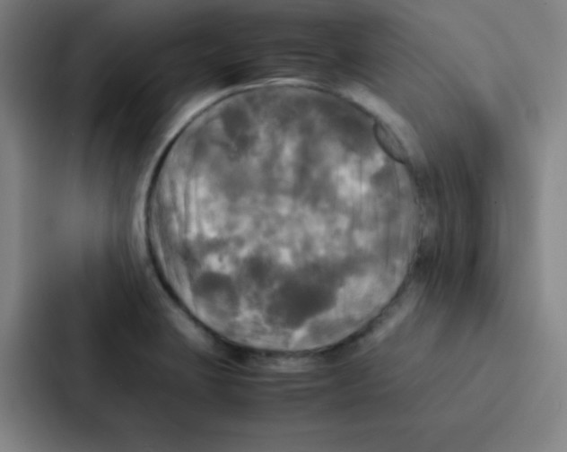 X0000086921423200705141713