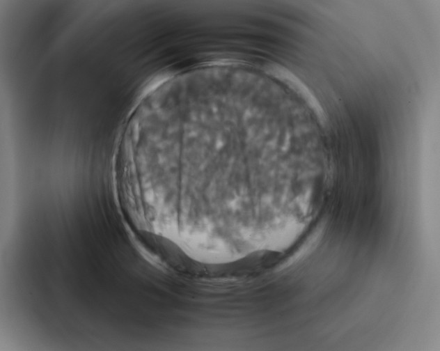 X0000086921425200705141713