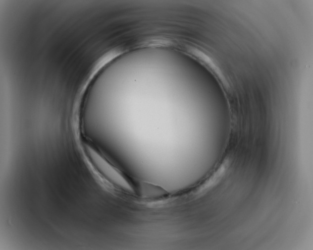 X0000086921426200705141713