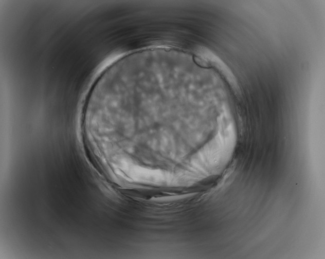 X0000086921427200705141713