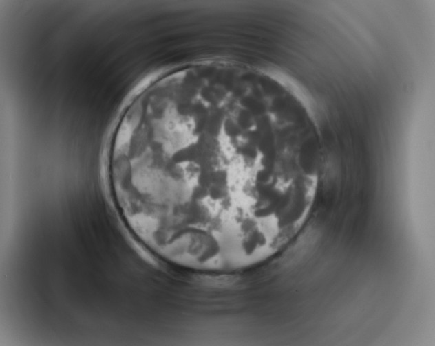 X0000086921429200705141713