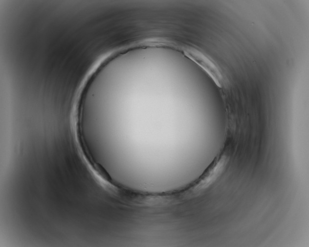 X0000086921430200705141713