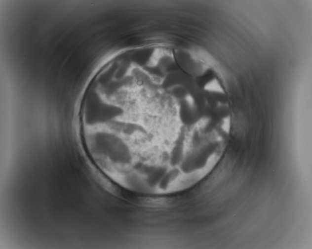 X0000086921431200705141713