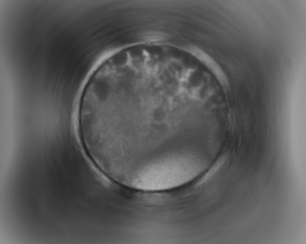 X0000086921432200705141713