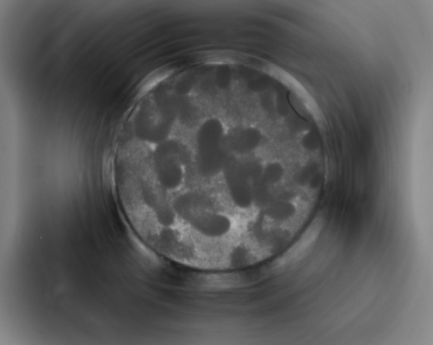 X0000086921433200705141713