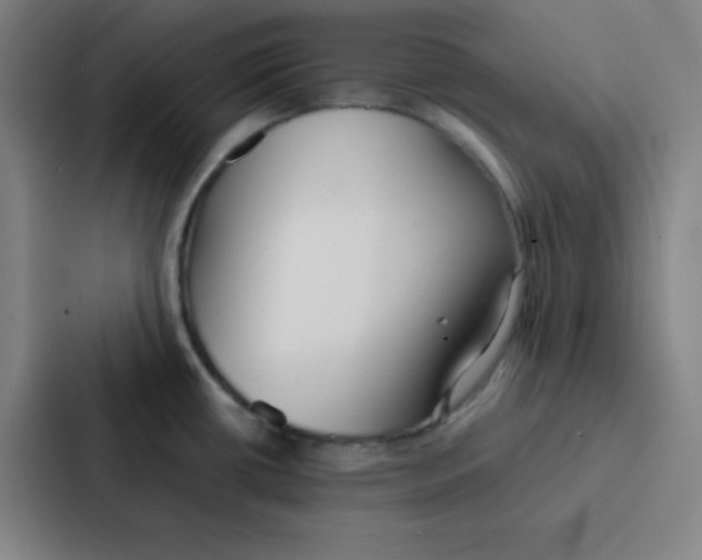 X0000086921434200705141713