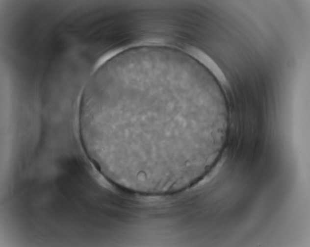 X0000086921436200705141713