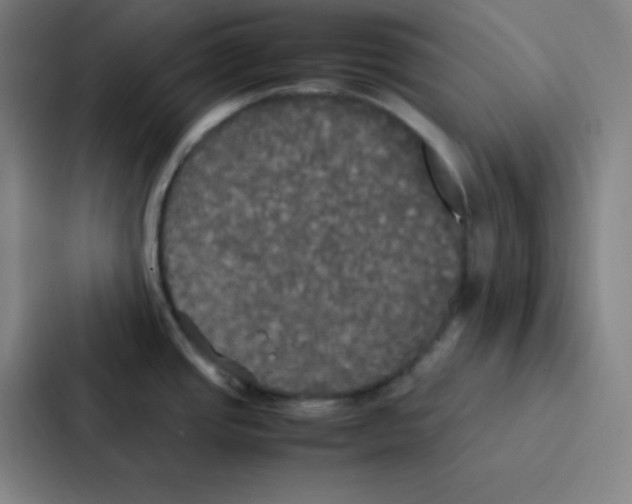 X0000086921437200705141713